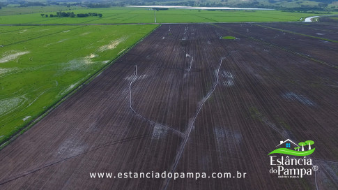 DOS EÓLICOS VIRA P FAZENDA_Moment.00_07_37_16.Quadro291_f6037156e0e05501cc1db3775bbe5fcd1d522158.jpg